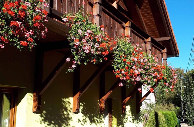 Holiday apartment especially suitable for families with children
