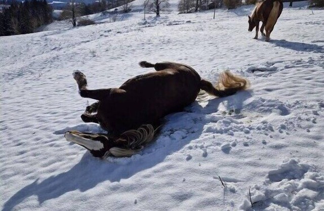 Holiday apartment in St. Peter with balcony