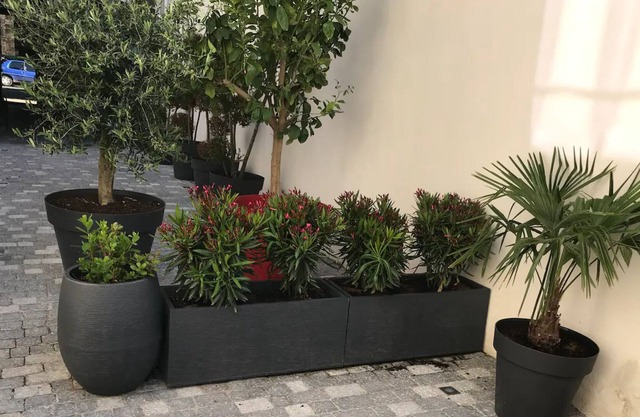 Holiday Apartment "Nid D'amour F1 Calme" with Private Terrace, Hammam & Wi-Fi