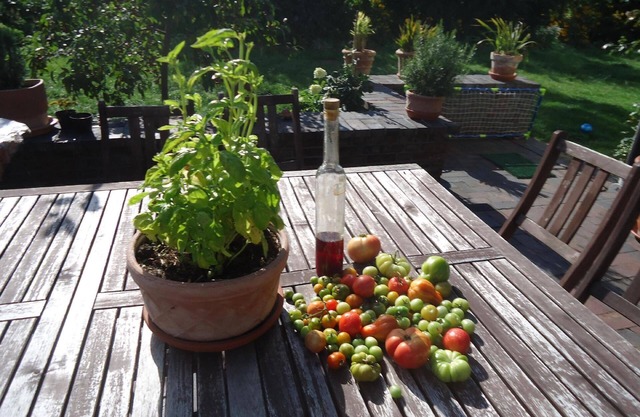 Holiday apartment Przyjazn for 1 - 4 persons with 1 bedroom - Holiday apartment in one or multi-fami