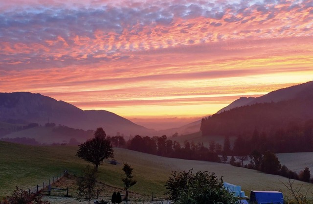 Holiday apartment Welschenrohr for 1 - 6 persons with 2 bedrooms - Farmhouse