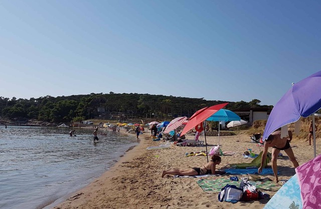 Holiday apartment with terrace