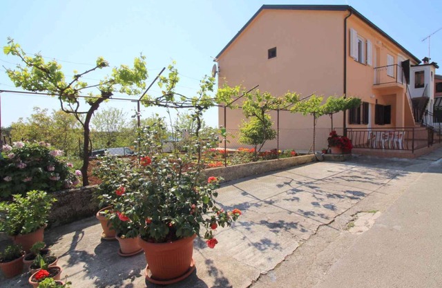 Holiday apartment with terrace