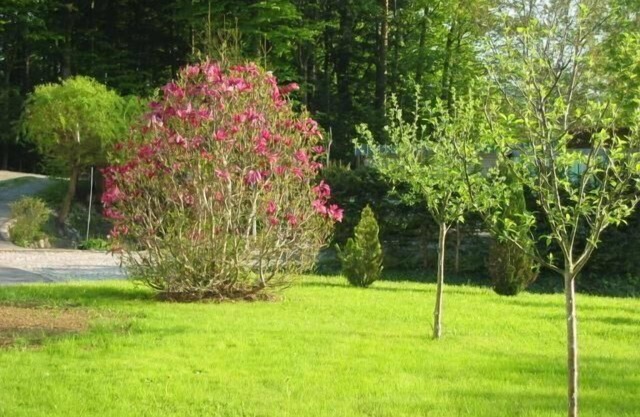 Holiday flat "Gottal" with terrace