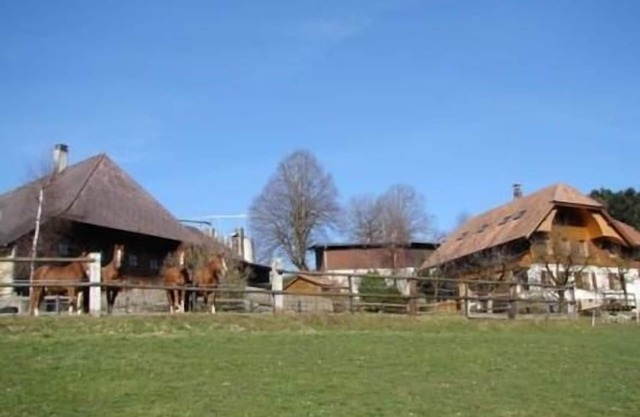 Holiday flat Muessache