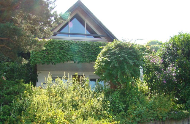 Holiday flat on the shores of Lake Constance