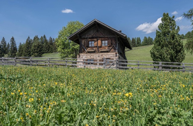 Holiday Home 'Almhütte Jägerrast' with Mountain View & Garden