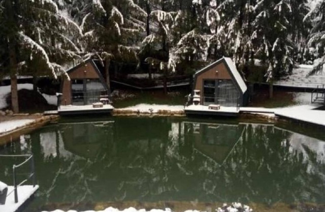 Holiday Home Snow Hill with Swimming Pool