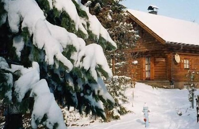 Holiday home Stoakoglhütte in Klippitztörl