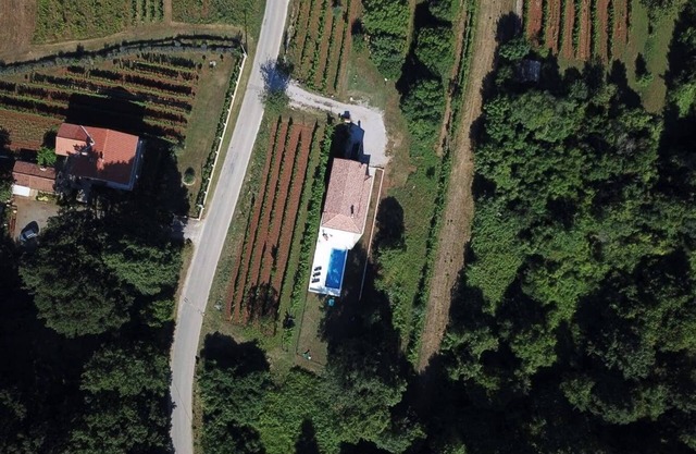 Holiday home with pool surrounded with forest and vineyards for 7, Labin, Istria