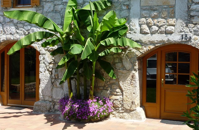 Holiday house, idyllic and in a quiet location, 3 bedrooms for 6 persons, in Sveti Anton