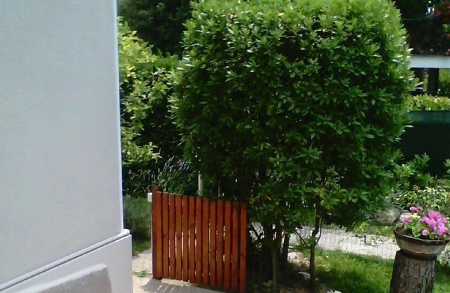 Holiday house Pisa for 1 - 6 persons with 2 bedrooms - Holiday home