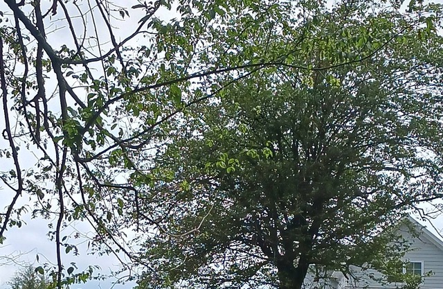 Home In the Mountain Lakes area of North Carolina. Best rental around. Awesome!!