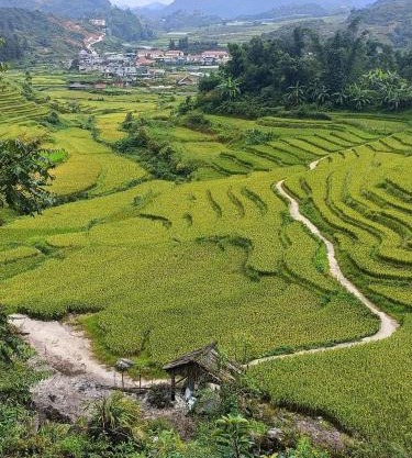 Homestay Núi Đá Tả Phìn