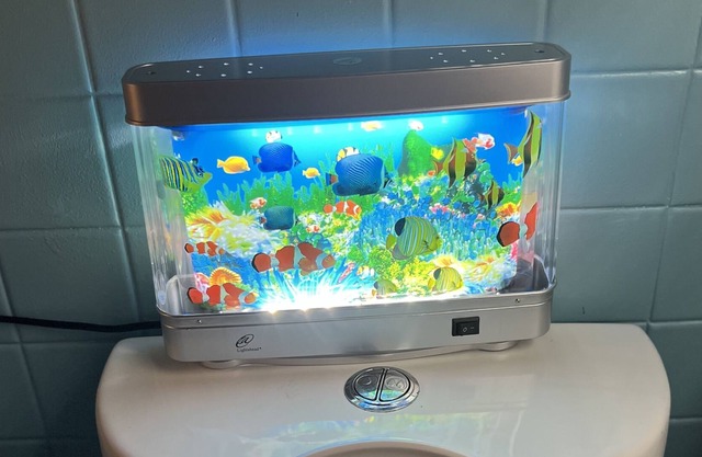 Hometel Shortstay west