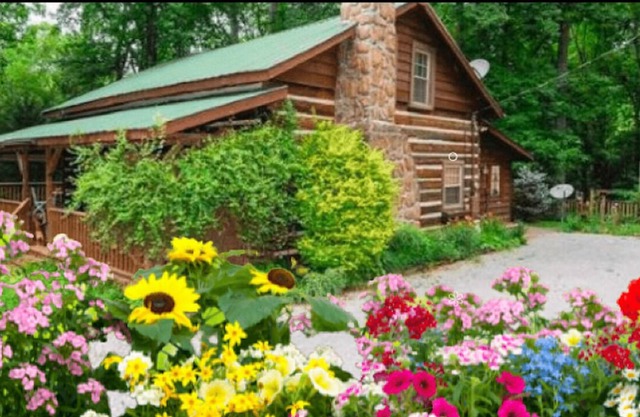 HONEYSUCKLE HIDEAWAY A private mountain cabin!