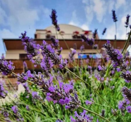 Hotel B&B CHAMBERLAIN