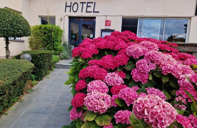 Hotel Bal