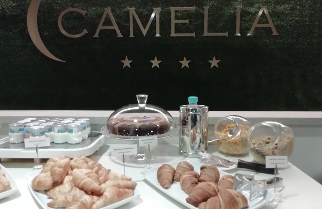 Hotel Camelia