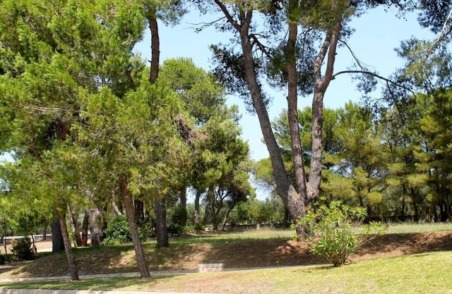Hotel Masseria Fabrizio