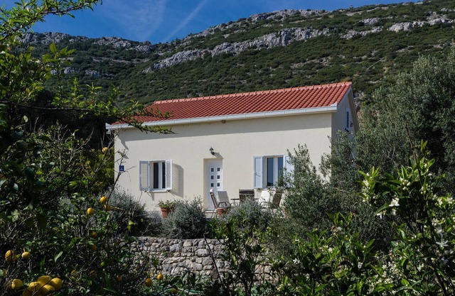 House Bosa (32935-K1) - Viganj