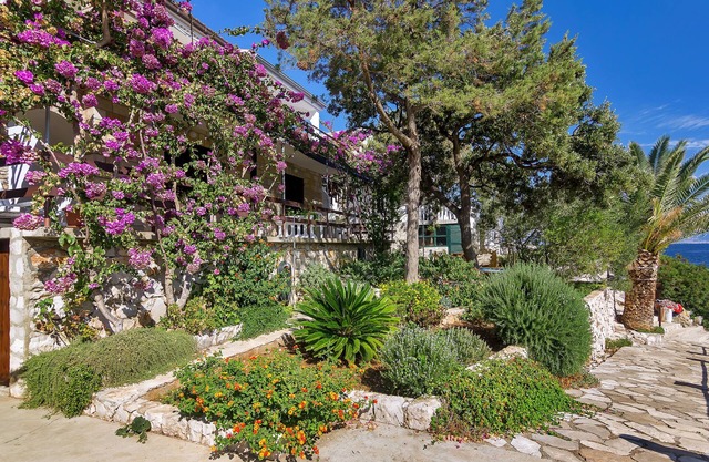 House Sea rose (57941-K1) - Zastrazisce - island Hvar