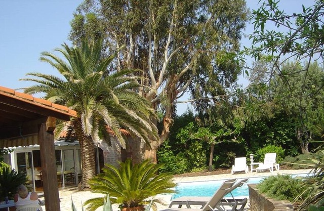 House / Villa - Saint jean pla de corts