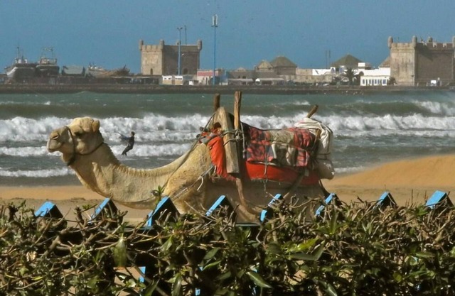 House/Villa - ESSAOUIRA diabat