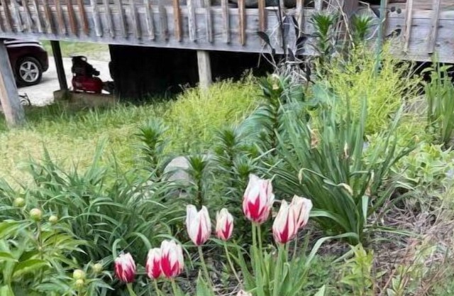 Huge 3000 sq ft - 20+ acres < 5 miles Cave & river - float, swim, fish and hike.