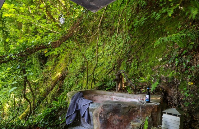 HUMBLE BEE, romantic, character holiday cottage in Okehampton