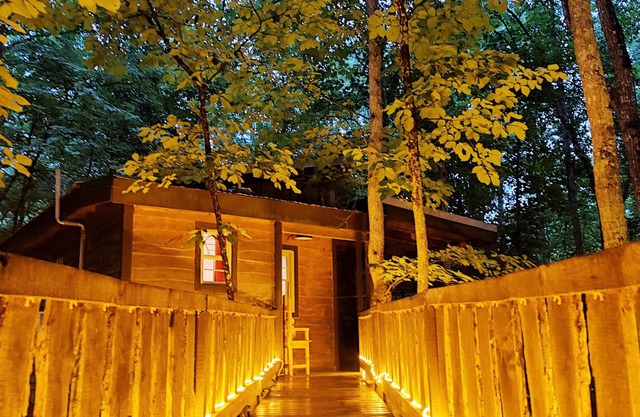 Hummingbird Treehouse Getaway w/Hot Tub & Firepit