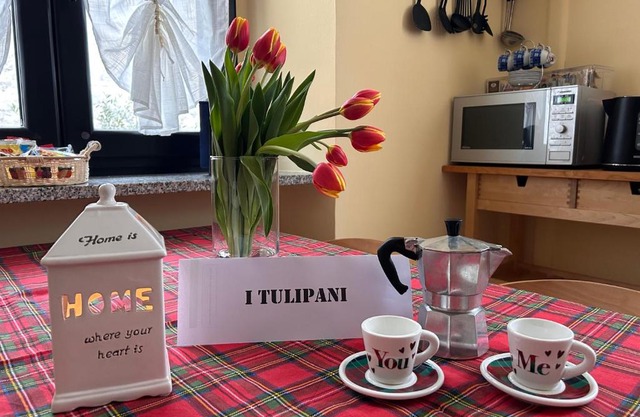 i tulipani
