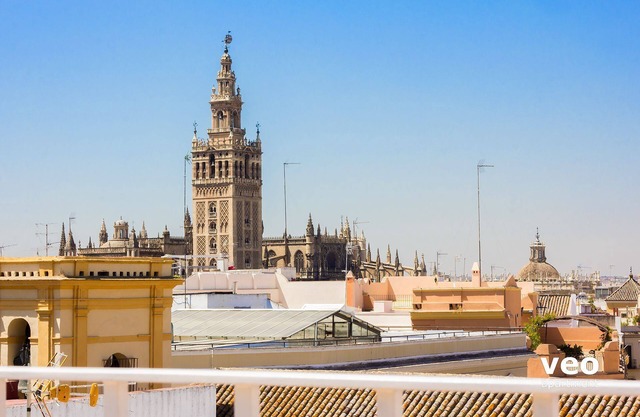 Ibarra Terrace. Top-floor duplex with Cathedral views, Santa Cruz