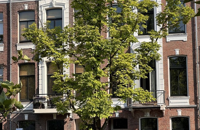 If boutique hotel