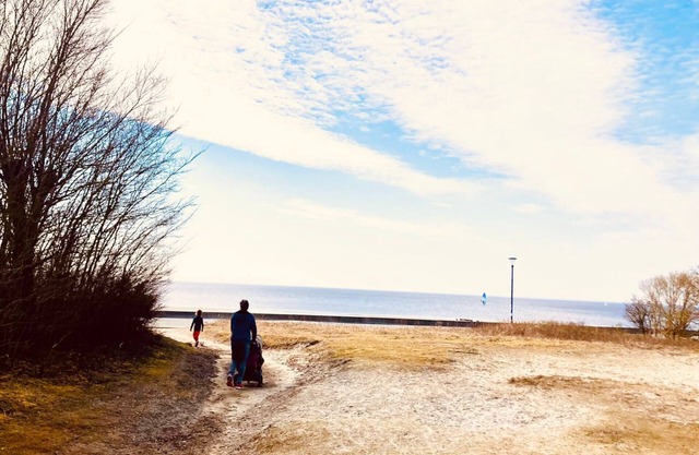 Ijsselmeer, Friesland, Makkum: Surfen, Segeln, Schwimmen