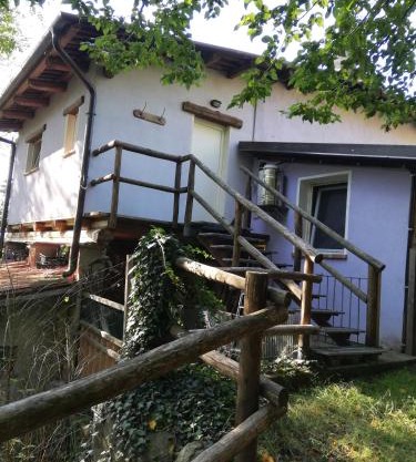 Il canto del bosco