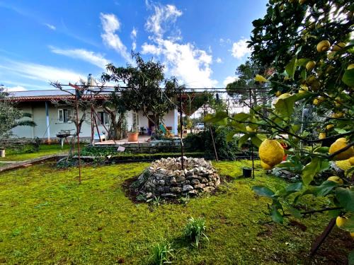 Il Giardino di Bea - Accogliente villa all'aperto