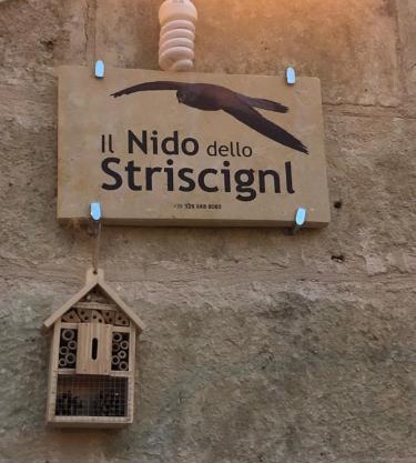 Il Nido dello Striscignl