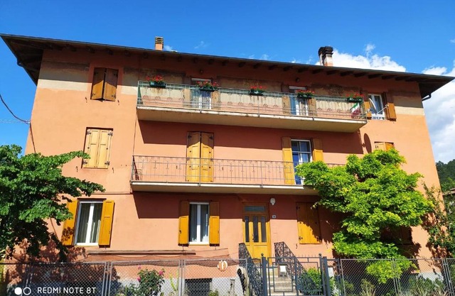 Il Pellicano