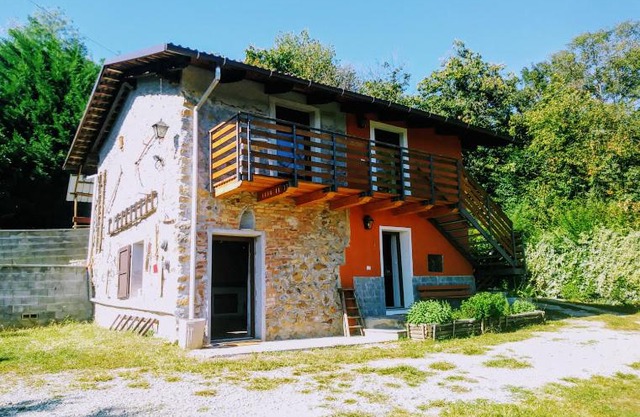 Il Pettirosso
