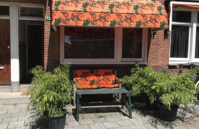 Imagine My B&B