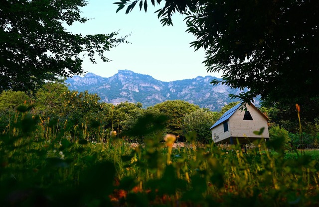 Immersed in the forest, breathtaking views of Mombracco and whirlpool pool