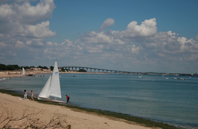 In nature 200 metres from the sea