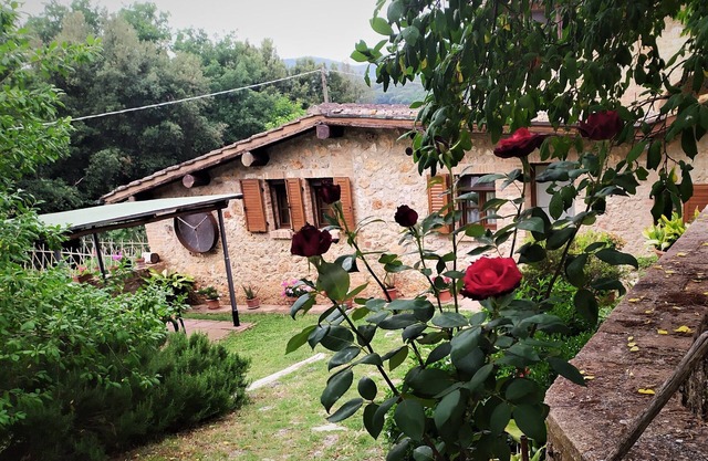In Siena's surroundings, beautiful house for 2-4 people, with garden and pool