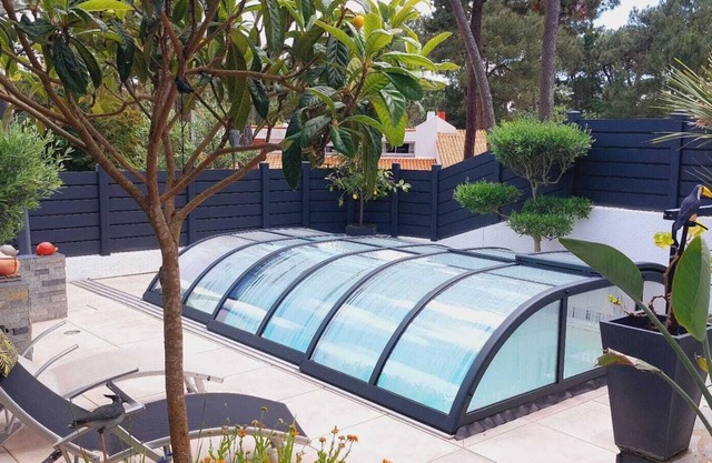 In the heart of the pine forest