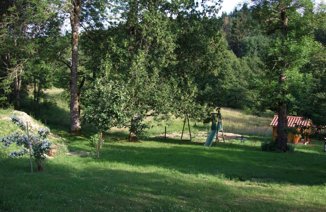 "In the shade of an ash tree!"