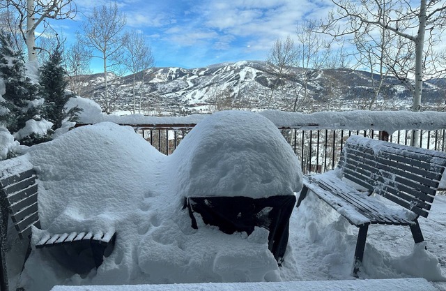 Incredible Views at the Steamboat Tree Haus