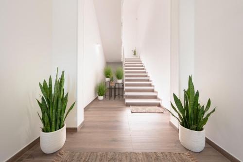 Ingrosso Suites in Salento