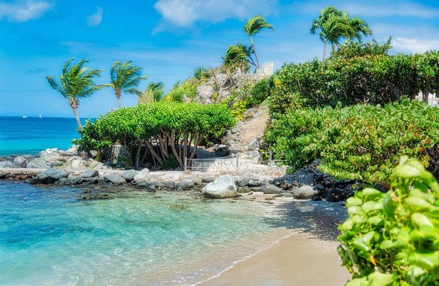 Island Bliss | Dive, Cruise & Unwind on Two Secluded Beaches | 3 Units