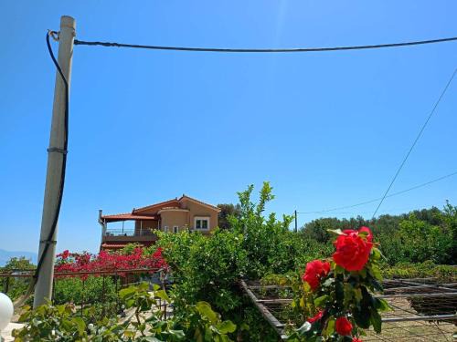 Jack's Home Maisonette